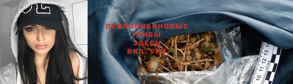 a pvp Михайлов