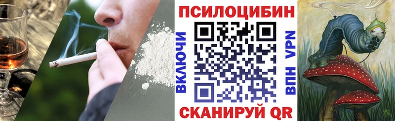 дарнет шоп  Медынь  Псилоцибиновые грибы Cubensis 