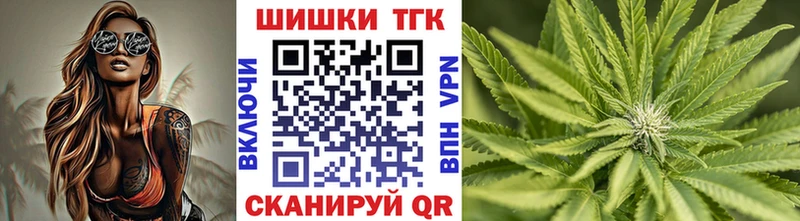 Бошки Шишки планчик  Медынь 